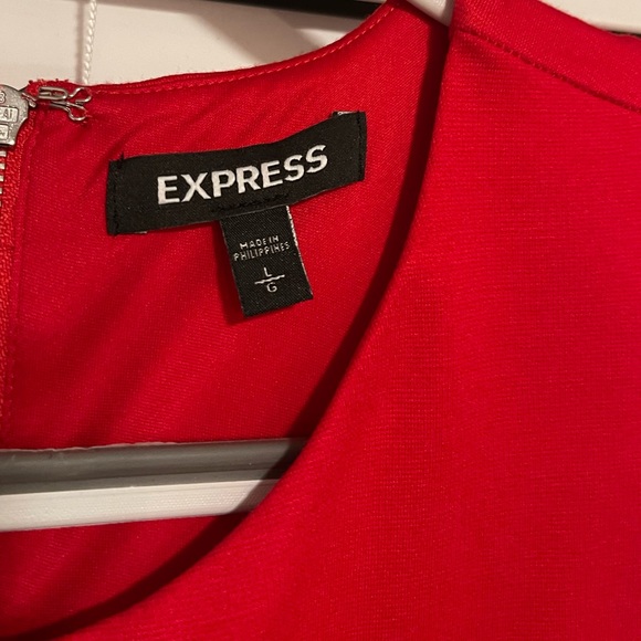 Express Dress - Picture 8 of 9